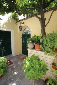 ein Haus mit einer Tür und einigen Pflanzen und einem Baum in der Unterkunft Studio Stari Grad in Herceg-Novi