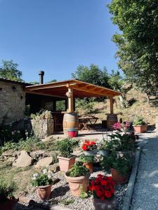 un jardin avec des plantes en pot devant un pavillon dans l'établissement LA TANA DEL PICCHIO, à Neviano degli Arduini