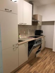 Kuchyňa alebo kuchynka v ubytovaní Apartment an der Burg