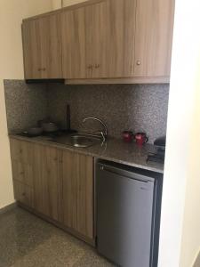 cocina con armarios de madera, fregadero y lavavajillas en Nereids Apartments-Thetis, en Petalidi