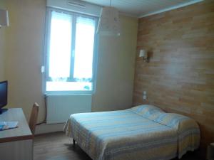 TV a/nebo společenská místnost v ubytování Hôtel Lamartine -Parking Dauphine