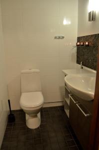 a bathroom with a toilet and a sink at Vanamo in Ylläsjärvi +5 photos