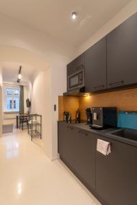 a kitchen with black cabinets and a counter top at Albrecht I levestate in Vienna