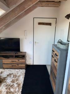 a living room with a tv and a door at Ferienwohnung Mayer in Langenargen