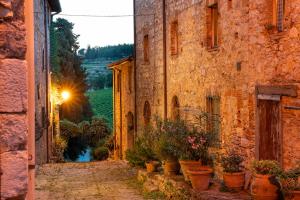 Vonkajšia záhrada v ubytovaní Castello di Fonterutoli Wine Resort