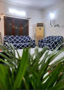 a living room with two couches and a plant at KyGo Hostels in Hyderabad