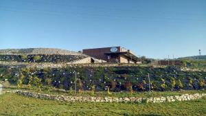 a vineyard with a building on top of a hill at Penzion U VINAŘSTVÍ ŠABATA in Zaječí