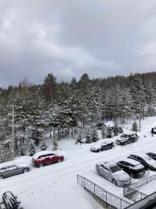 Modessa during the winter