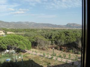 a view from a window of a field with trees at I Villini di Baia Delle Mimose in Badesi