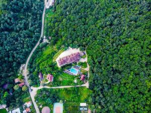 Φωτογραφία από το άλμπουμ του Pension Casa cu Tei σε Sarata-Monteoru