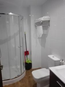 y baño con ducha de cristal y aseo. en Apartamentos Turísticos Teruel, en Teruel