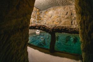 - une vue sur une piscine d'eau dans une grotte dans l'établissement EcoNature Dagaio Handmade Paradise, à Ericeira