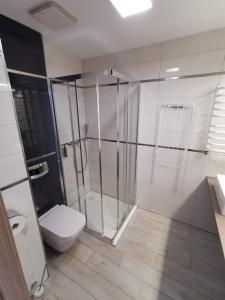 Et badeværelse på Apartament Czarna Góra Sölden 28