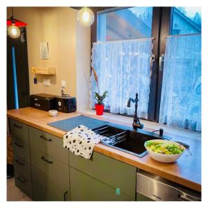 a kitchen with a sink and a bowl of salad at Vila Montana Valiug in Văliug