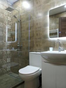 uma casa de banho com um WC, um lavatório e um chuveiro em Roshka Apartment 307 em Gudauri