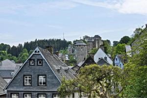 an old town with a castle in the background at Boutique Fachwerkhaus Thirty Five in Monschau