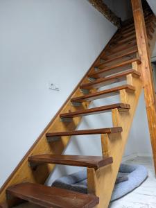 Fotografia z galérie ubytovania Apartament Lux-centrum v destinácii Gliwice