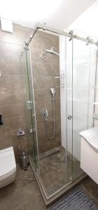 Un baño con ducha con puerta de cristal. en Gabi Apartments Kopaonik - Kraljevi cardaci, en Kopaonik