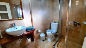 uma casa de banho com um lavatório, um chuveiro e um WC. em Niko Studios em Lassi