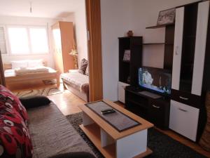 een woonkamer met een bank en een tv bij Apartman Kod Pere in Negotin