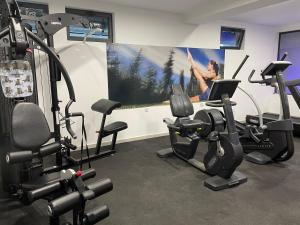 Fitness centrum a/nebo fitness zařízení v ubytování JOPA Suncani breg