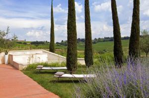 un jardín con 2 bancos, árboles y flores púrpuras en Villa Mozzafiato con Jacuzzi o Camino Toscana Montepulciano, en Valiano