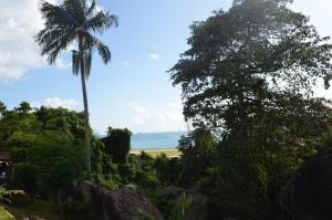 palma i ocean w oddali w obiekcie Touchdown Villa w mieście Pointe Larue