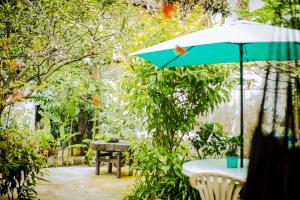 Zahrada ubytování Acogedor apartaestudio cerca a todo desayuno incluido