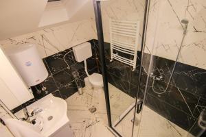 a bathroom with a shower and a toilet and a sink at Vila Nemir Zavojsko jezero in Pirot +53 photos