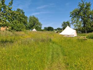 Gallery image of Glamping at The Homestead - Ensuite bell tent in Hereford