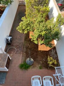 Vonkajšia záhrada v ubytovaní Villa Bella Vista