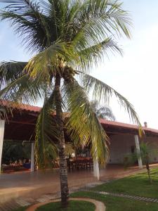 un palmier devant un bâtiment dans l'établissement Hotel Fazenda Flamarion, à Lagoa Santa