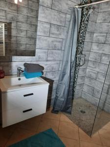 een badkamer met een douche, een witte wastafel en een douche bij Le Pélican in Huisnes-sur-Mer