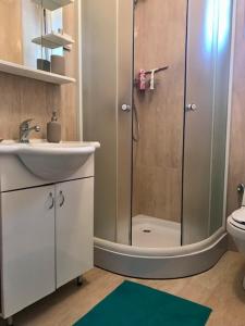 Un baño con ducha, lavabo e inodoro. en Studio-Apartman Dream018, en Brzeće