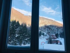 Una ventana con vista a una montaña cubierta de nieve. en Studio-Apartman Dream018, en Brzeće 4 fotos más