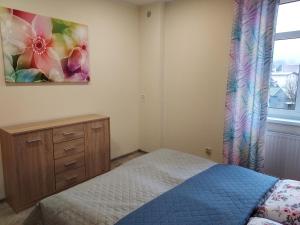 sypialnia z łóżkiem i obrazem na ścianie w obiekcie Apartament Karkonosze w Jeleniej Górze