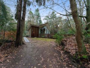 ein Haus im Wald mit Einfahrt und Bäumen in der Unterkunft Idyllically located Holiday Home in Norg with Sauna in Norg