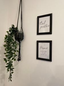 Fotografie z fotogalerie ubytování Bergglück - gemütliches Appartement am Traunsee v destinaci Altmünster