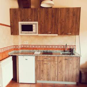 cocina con fregadero y microondas en Apartamentos Los Rosales de Isabel en Corral de Ayllón