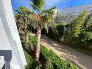 uma vista aérea de uma palmeira ao lado de um edifício em Très beau studio à Ain Diab em Casablanca