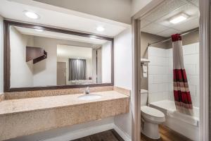 a bathroom with a sink and a toilet and a mirror at Red Roof Inn Sumter in Sumter