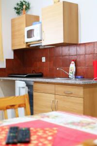 a kitchen with a counter top with a microwave at Apartmany Jana in Janske Lazne