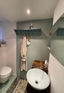 La salle de bains est pourvue de toilettes blanches et d'un lavabo. dans l'établissement Studio Dageraad, à Anvers