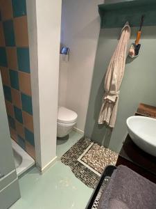La salle de bains est pourvue de toilettes et d'un lavabo. dans l'établissement Studio Dageraad, à Anvers