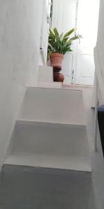 Foto da galeria de Casarão AL em Olhão