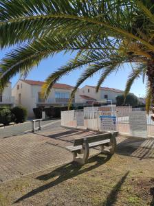 a park bench sitting under a palm tree at Au mouillage, appartement 2 pièces plage de Pontaillac in Vaux-sur-Mer