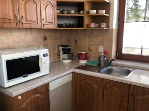 a kitchen with a sink and a microwave on a counter at Vyhlídka Resort in Náchod