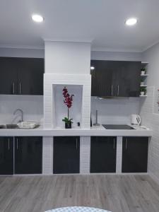 a white kitchen with a vase of flowers on the counter at Pinneapple Studio in Ponta Delgada