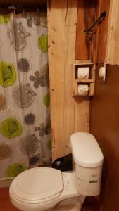 a bathroom with a toilet and a shower curtain at Cabaña Doña dacia in Alaska