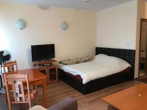 A television and/or entertainment centre at Ski Zone at Gondola, Perfect One Bdrm, Fast WiFi, Netflix, Quiet, Warm